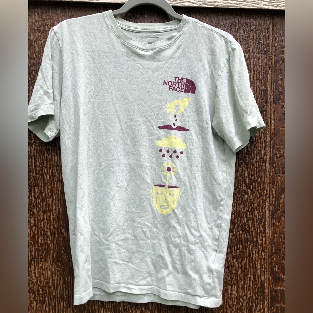 The North Face Men's SM Proud Tee in Misty Sage Snow